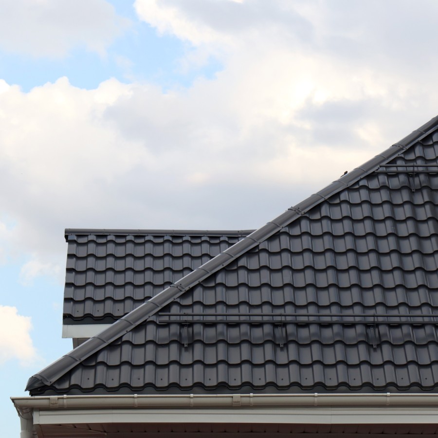 Standart 9005 (4)
